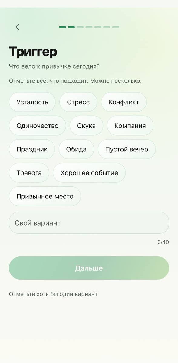 Экран приложения: вечерняя запись